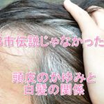 育毛専門家が解説する「頭皮のかゆみと白髪」の関係